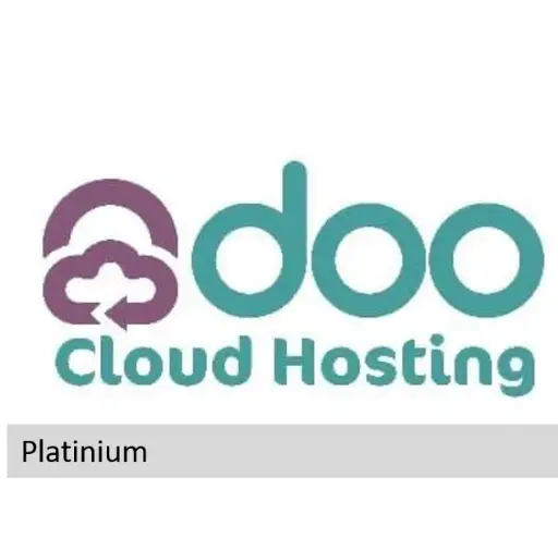 Odoo Hosting (Servicio Mensual Platinium)