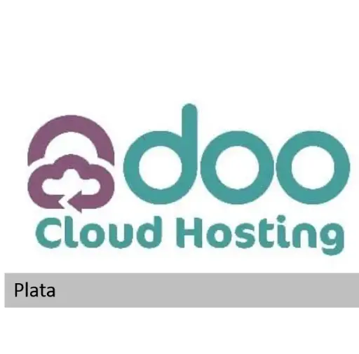 Odoo Hosting (Servicio Mensual Plata) 